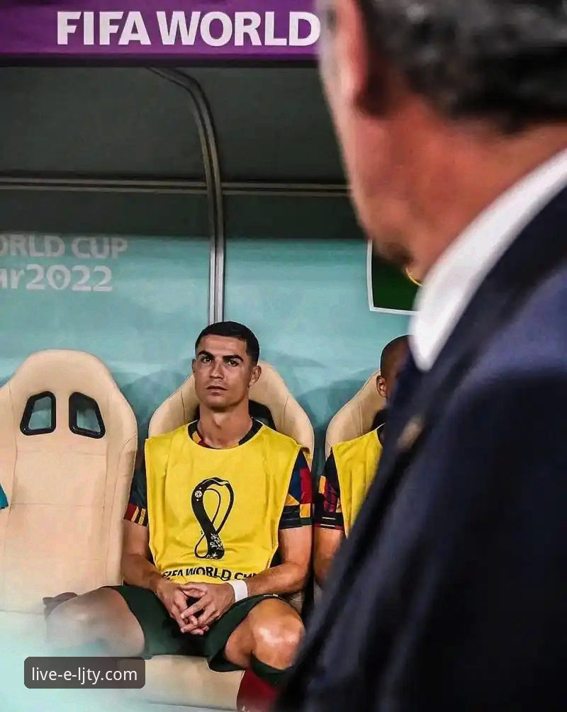 揭秘体育直播软件选择背后的真相：看体育比赛用什么软件攻略