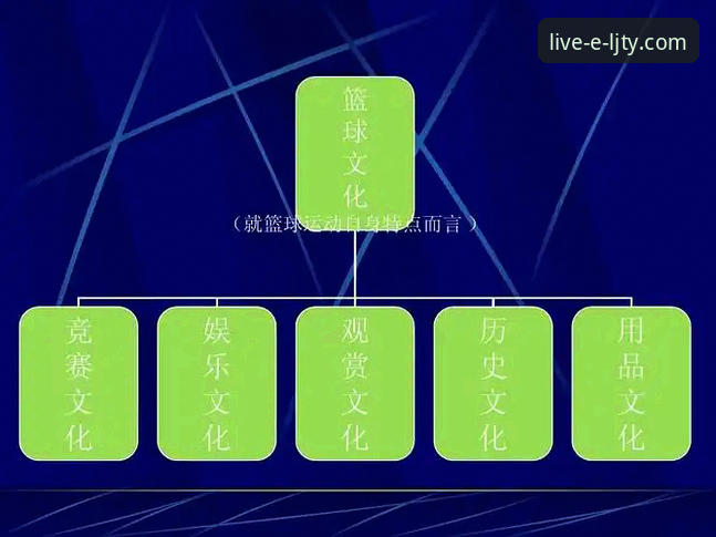 深度揭秘：乐竞体育用户评价安装教程，资深玩家的真实体验